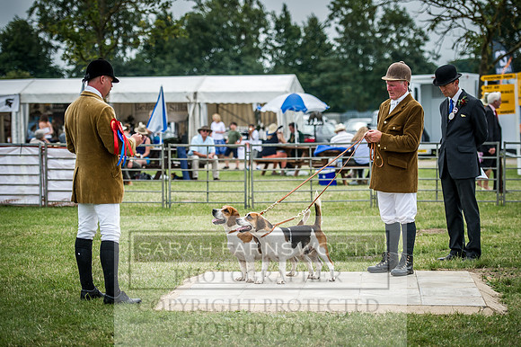 PFoH 2016-372