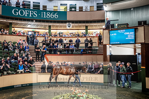 Goffs Land Rover Sale 2022-300