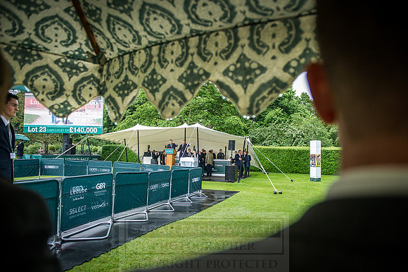 Goffs London Sale 2016-340