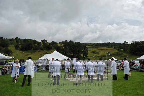 Rydal 2014 CF1 034