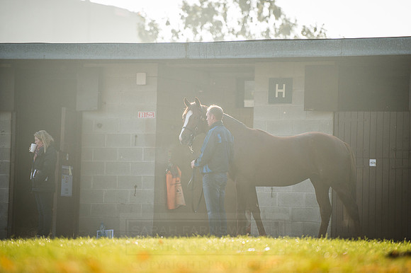Goffs Orby 2015 -498