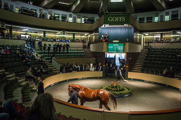 Goffs Orby 2015 -241