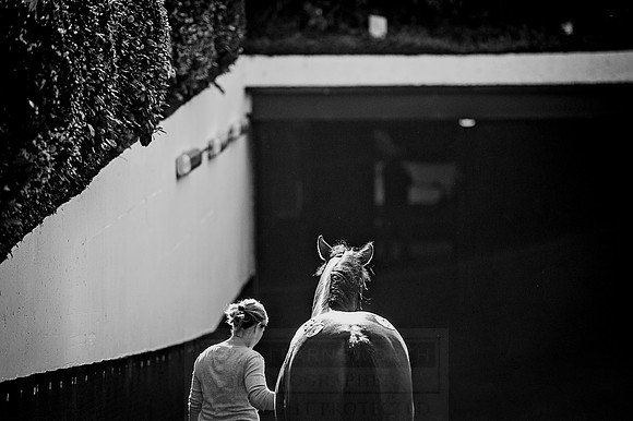 Goffs Orby 2015 -516 bw