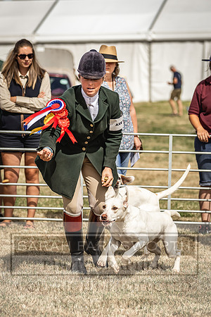 Honiton Hound Show 2022-78