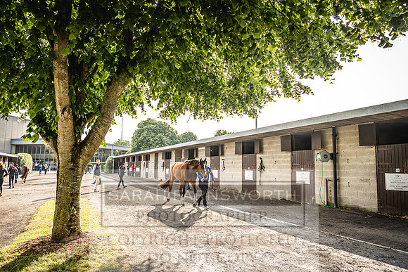 Goffs Land Rover Sale 2022-109
