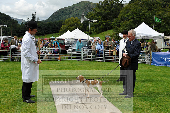 Rydal 2014 CF1 372