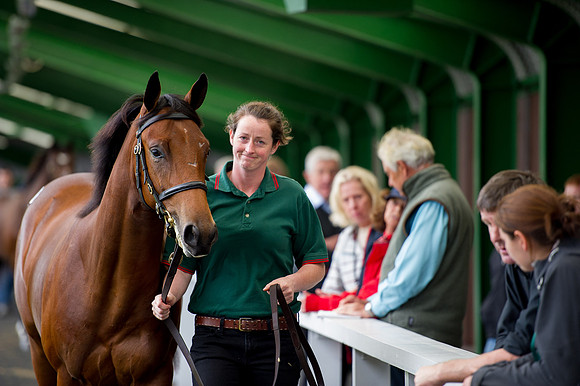 Goffs Orby14 CF5 395