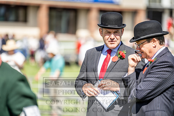 Builth Hound Show 2019-40