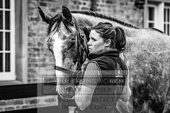 Goffs Yorton Sale 2022-48