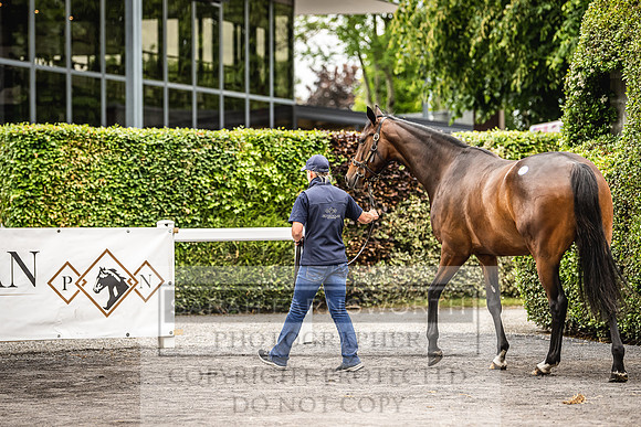 Goffs Land Rover Sale 2022-243