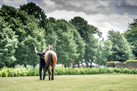 Goffs London Sale 2019-5