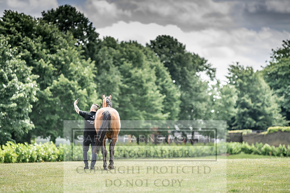 Goffs London Sale 2019-5