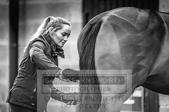 Goffs Land Rover Sale 2022-521
