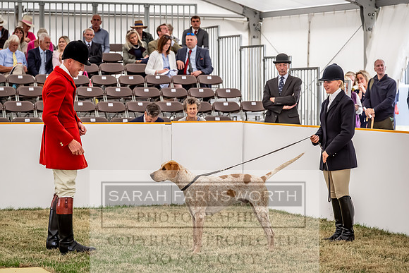 PFoH 2025-7