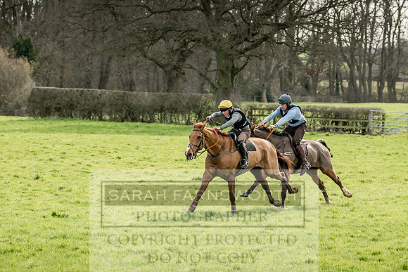 Wynnstay Hunt Ride 2019-59