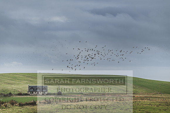 Argyll January 2020-36