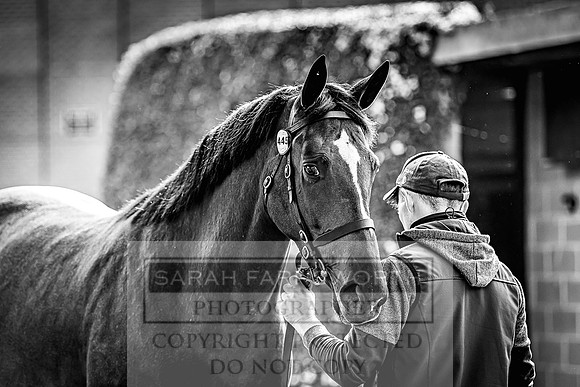 Goffs Land Rover Sale 2022-91