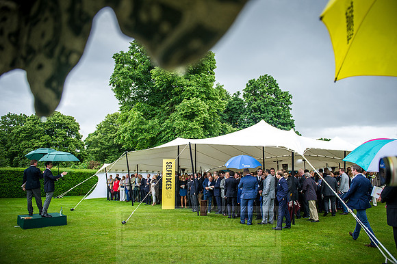 Goffs London Sale 2016-342