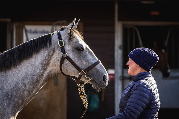 Goffs UK Breeze Up 2022-103