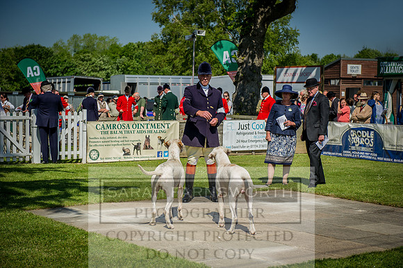 Ardingly Foxhounds 2015-19