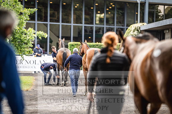 Goffs Land Rover Sale 2022-66
