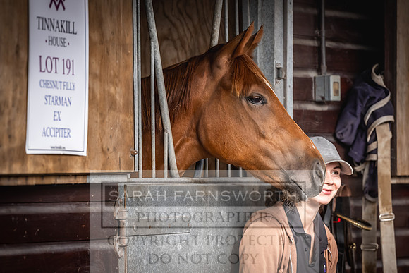 Goffs UK PY24-24