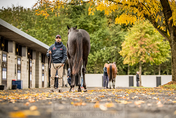 Goffs Orby 2018 Day 1-120