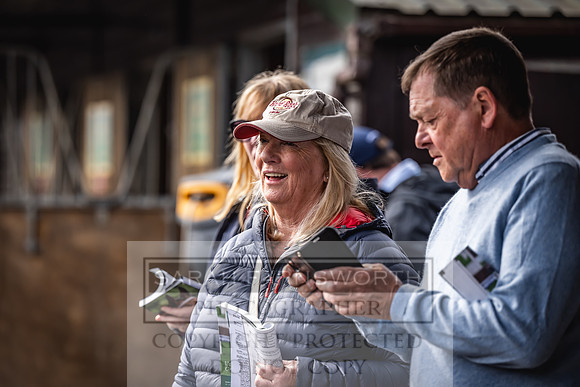 Goffs UK Spring Sale 2024-36