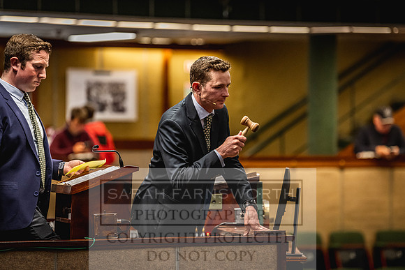 Goffs Land Rover Sale 2022-261