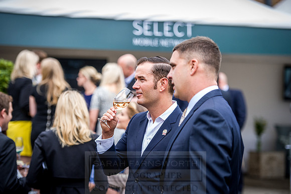 Goffs London Sale 2016-162