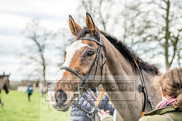 Wynnstay Hunt Ride 2019-130