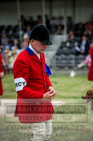 PFoH 2016-371