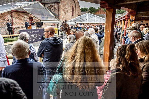 GUK Yorton Sale 2019-309