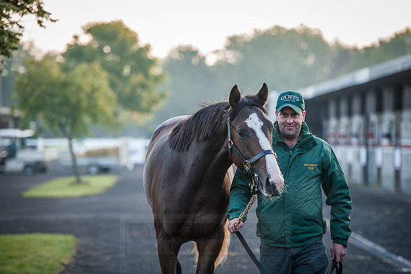 Goffs Orby 2015 -99