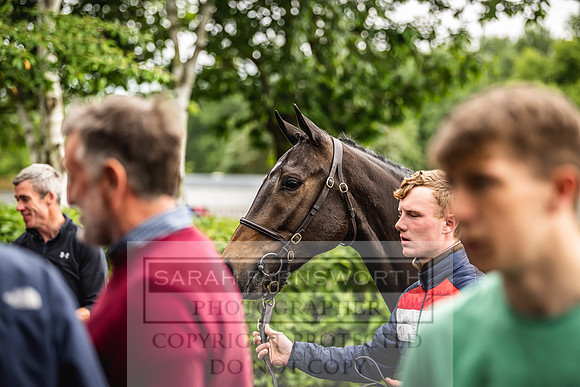 Goffs Land Rover Sale 2022-429
