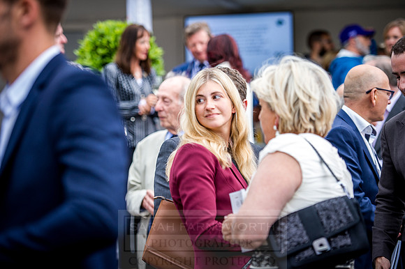 Goffs London Sale 2016-199