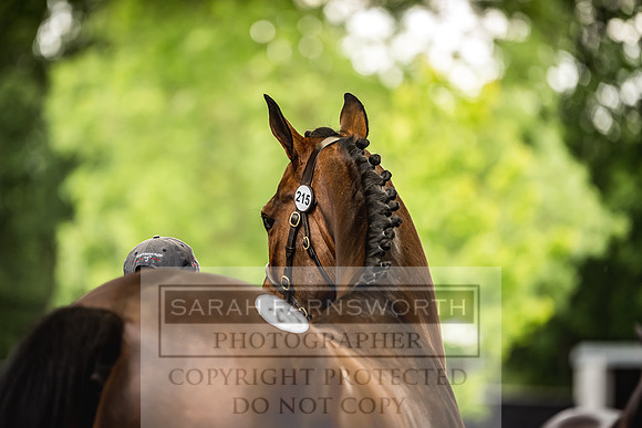 Goffs Land Rover Sale 2022-412
