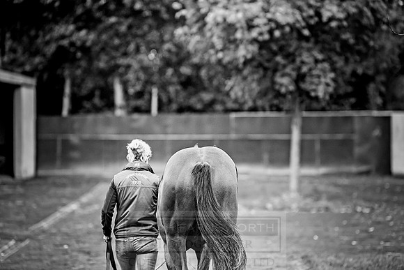Goffs Orby 2018 Day 2-16