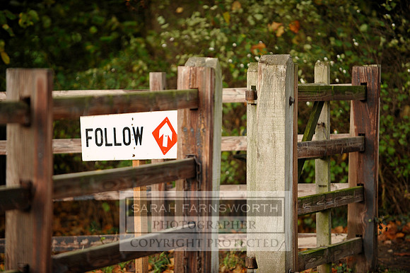 Brocklesby 021113 CF3 067