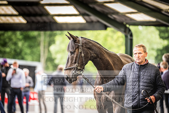 Goffs Land Rover Sale 2022-422
