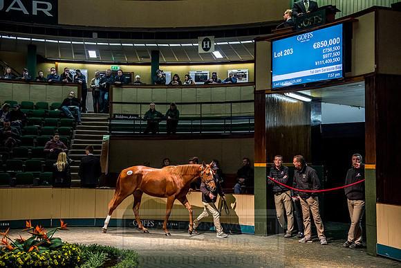 Goffs Orby 2018 Day 1-438