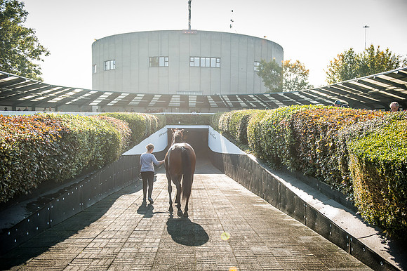 Goffs Orby 2015 -517