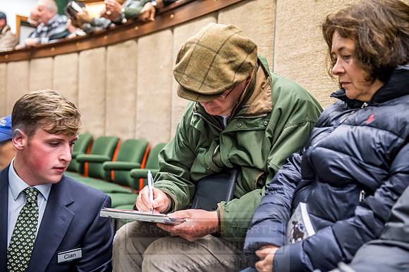Goffs Orby 2018 Day 1-245