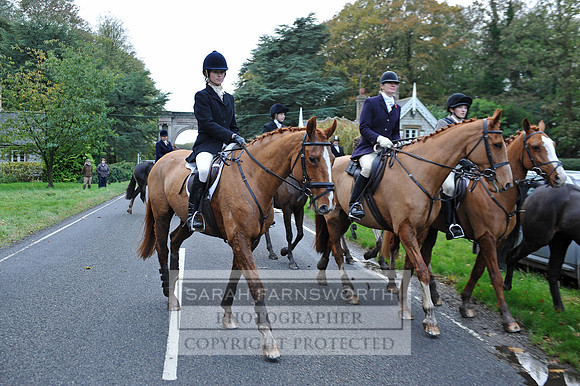 Brocklesby 021113 CF2 235