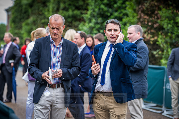 Goffs London Sale 2016-451