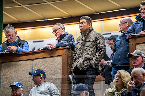 Goffs Orby 2018 Day 1-218