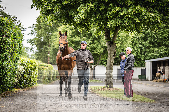 Goffs Land Rover Sale 2022-403