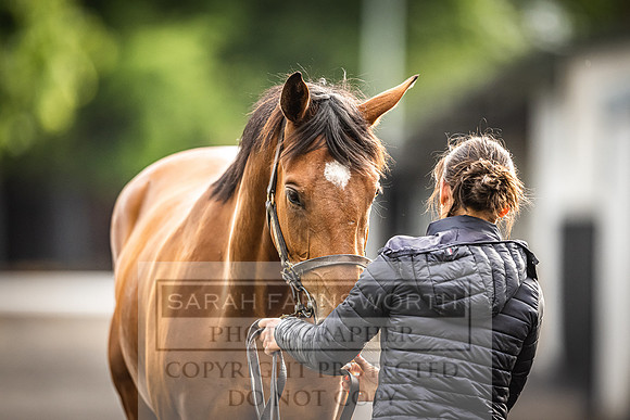 Goffs Land Rover Sale 2022-501