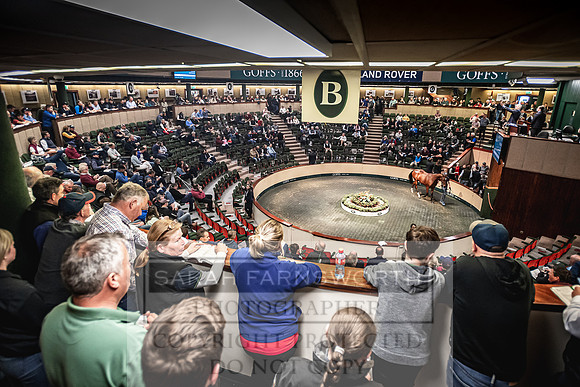 Goffs Land Rover Sale 2022-285