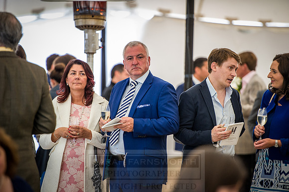 Goffs London Sale 2016-288